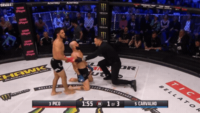 Boxing Match Between Pico And Carvalho GIF