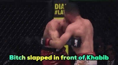 Boxing Match Bitch Slapped Khabib GIF