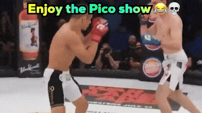 Boxing Match Enjoy The Pico Show
