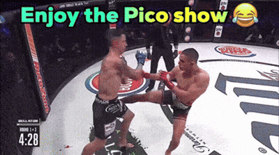 Boxing Match Enjoy The Pico Show GIF