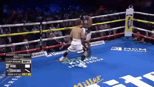 Boxing Match In Ring GIF