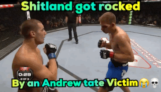 Boxing Match Shitland Rocked By Andrew Tate Victim GIF