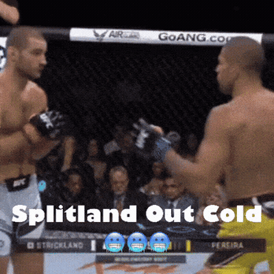 Boxing Match Splitland Out Cold GIF