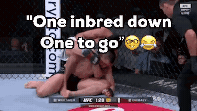 Boxing Match That's Right Beg To Bobby GIF