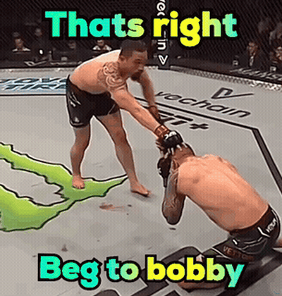 Boxing Match That's Right Beg To Bobby GIF