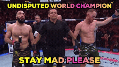 Boxing Match Undisputed World Champion GIF