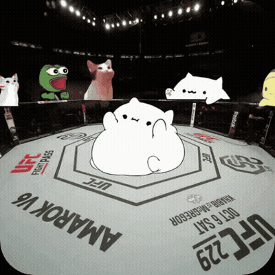 Boxing Ring With UFC Logo GIF