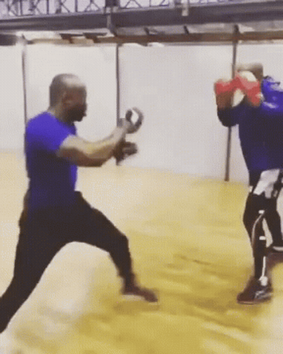 Boxing Rohff GIF