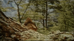 Boy Adele Hello From The Other Side GIF