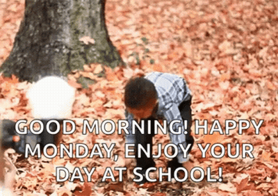 Boy And Baby Playing In Leaves GIF