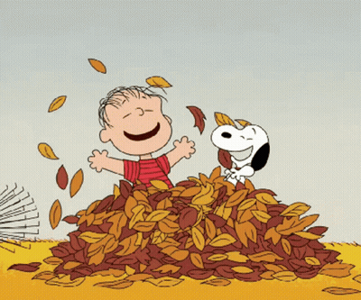 Boy And Dog Playing With Leaves GIF