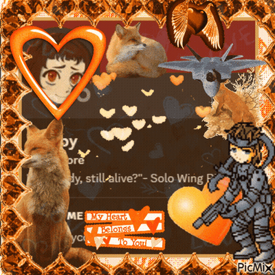 Boy And Fox Saying Solo Wing GIF