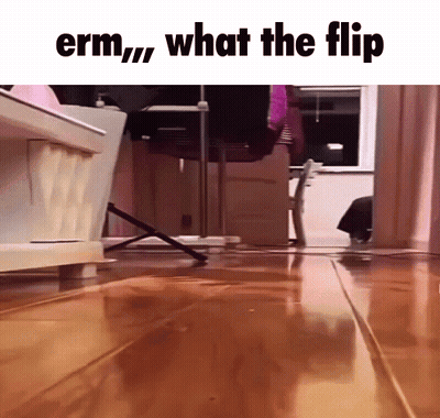 Boy And Girl Best Duo GIF