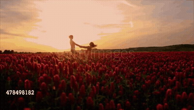 Boy And Girl Holding Hands In Red Flower Field At Sunset GIF