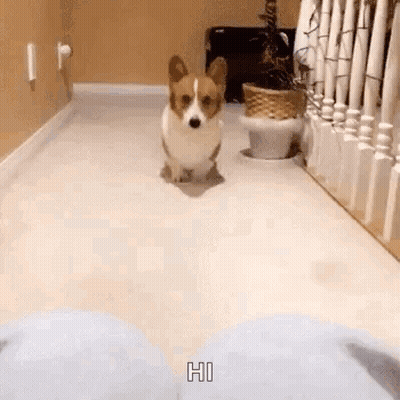 Boy And Girl Sitting Kissing GIF