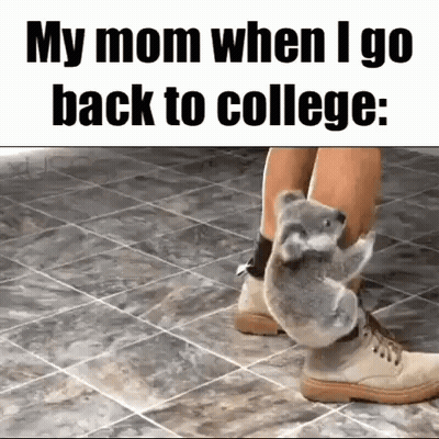 Boy Carrying Books And Backpack Saying College GIF