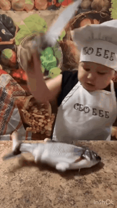 Boy Chef Holding Knife Over Fish GIF