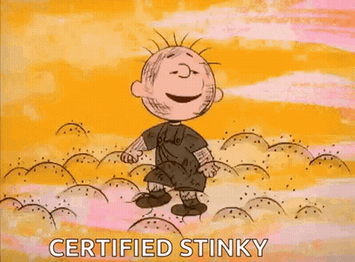 Boy Dancing In Field Saying Certified Stinky GIF
