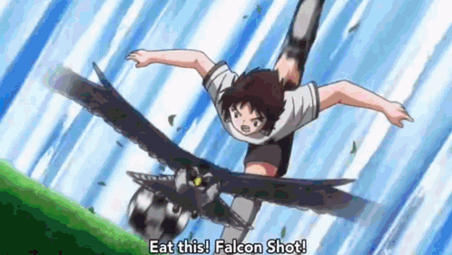 Boy Flying With Falcon And Soccer Ball GIF