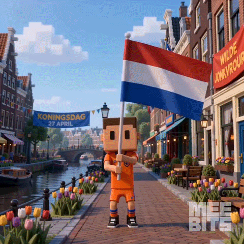 Boy Holding Flag In Front Of Koningsdag 27 April Sign GIF