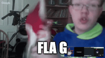 Boy Holding Flag In Front Of Screen Saying Flag GIF