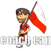 Boy Holding Red And White Flag Sticker