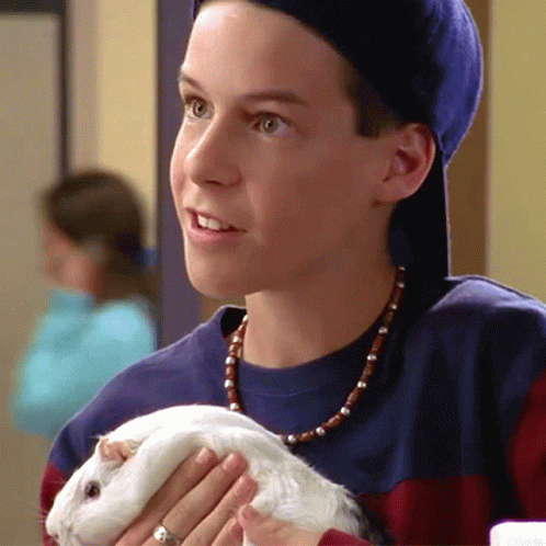 Boy In Blue Hat Holding Hamster GIF
