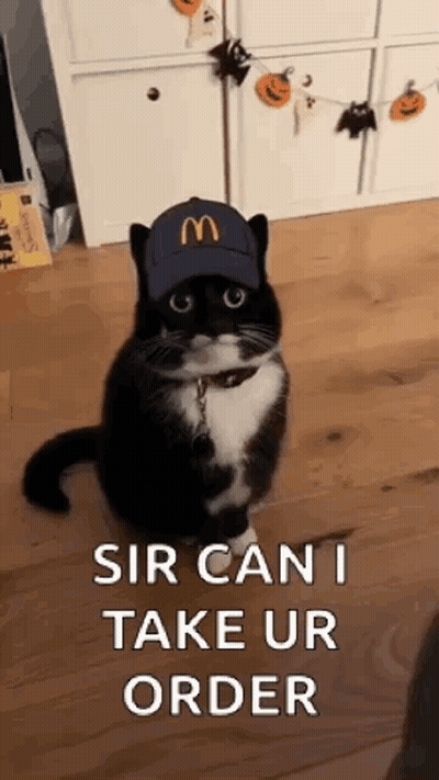 Boy In Cowboy Outfit Saying Jim Dandy GIF