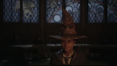 Boy In Harry Potter Hat With Hufflepuff GIF