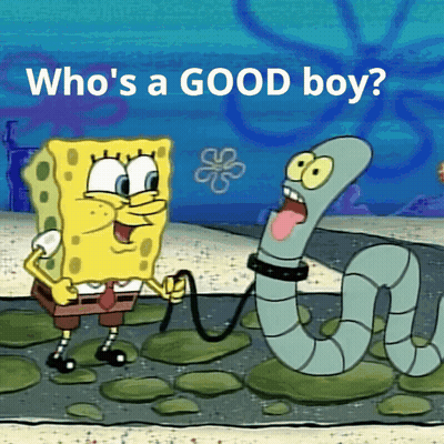 Boy In Rock And Roll High School Shirt GIF