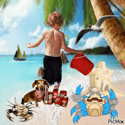Boy Playing On Beach With Dog, Crab, And Diet Coke GIF
