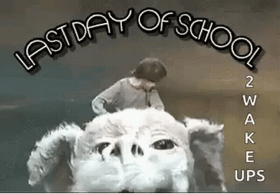 Boy Standing On Stuffed Animal Last Day Of School GIF