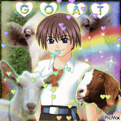 Boy Surrounded by Goats With Hearts