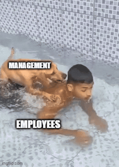 Boy Swimming In Pool With Dog And Management Employees GIF