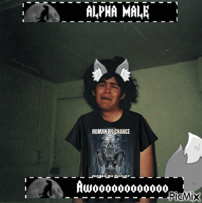 Boy Wearing Alpha Male Shirt GIF