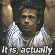 Brad Pitt It Is Actually GIF