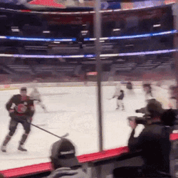 Brady Tkachuk Tkachuck GIF