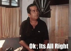 Brahmi Okay It's All Right GIF