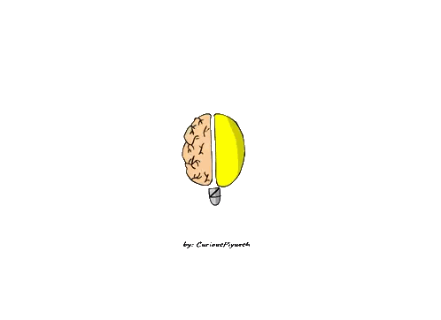 Brain And Light Bulb Curious Playground Sticker