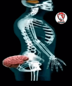 Brain Empty Brain Out GIF