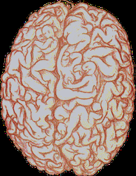 Brain Filled With Obscene Scenes GIF