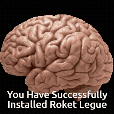 Brain Saying You Have Successfully Installed Roket Legue GIF