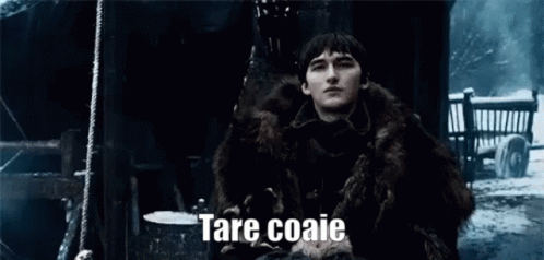 Bran Stark From Game Of Thrones Is Wearing A Fur Coat And Sitting In A Dark Room . GIF