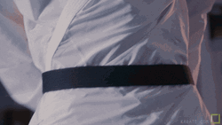 Brandishing Cotton Black Belt GIF