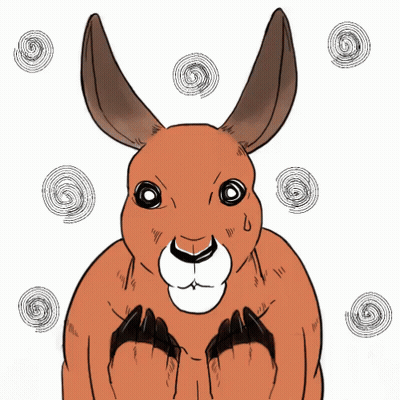 Brandon With Kangaroo GIF
