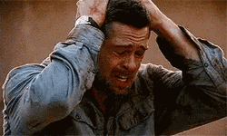 Brat Pitt Frustration GIF