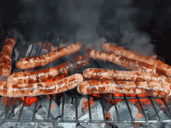 Bratwurst Sausage Bbq Smoking Hot GIF