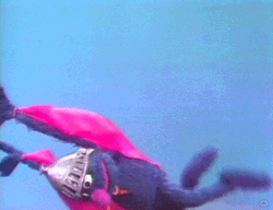 Brave Grover Monster Flying GIF