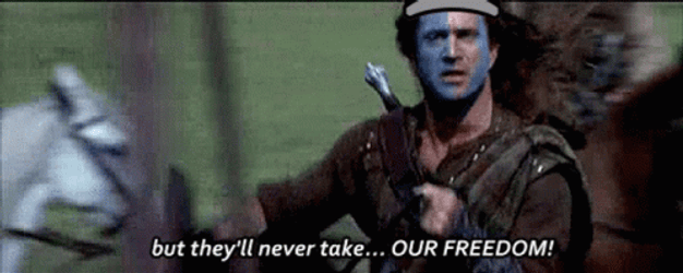 Braveheart Battle Never Take Or Freedom GIF