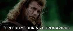 Braveheart Freedom Mel Gibson Corona Virus Meme GIF